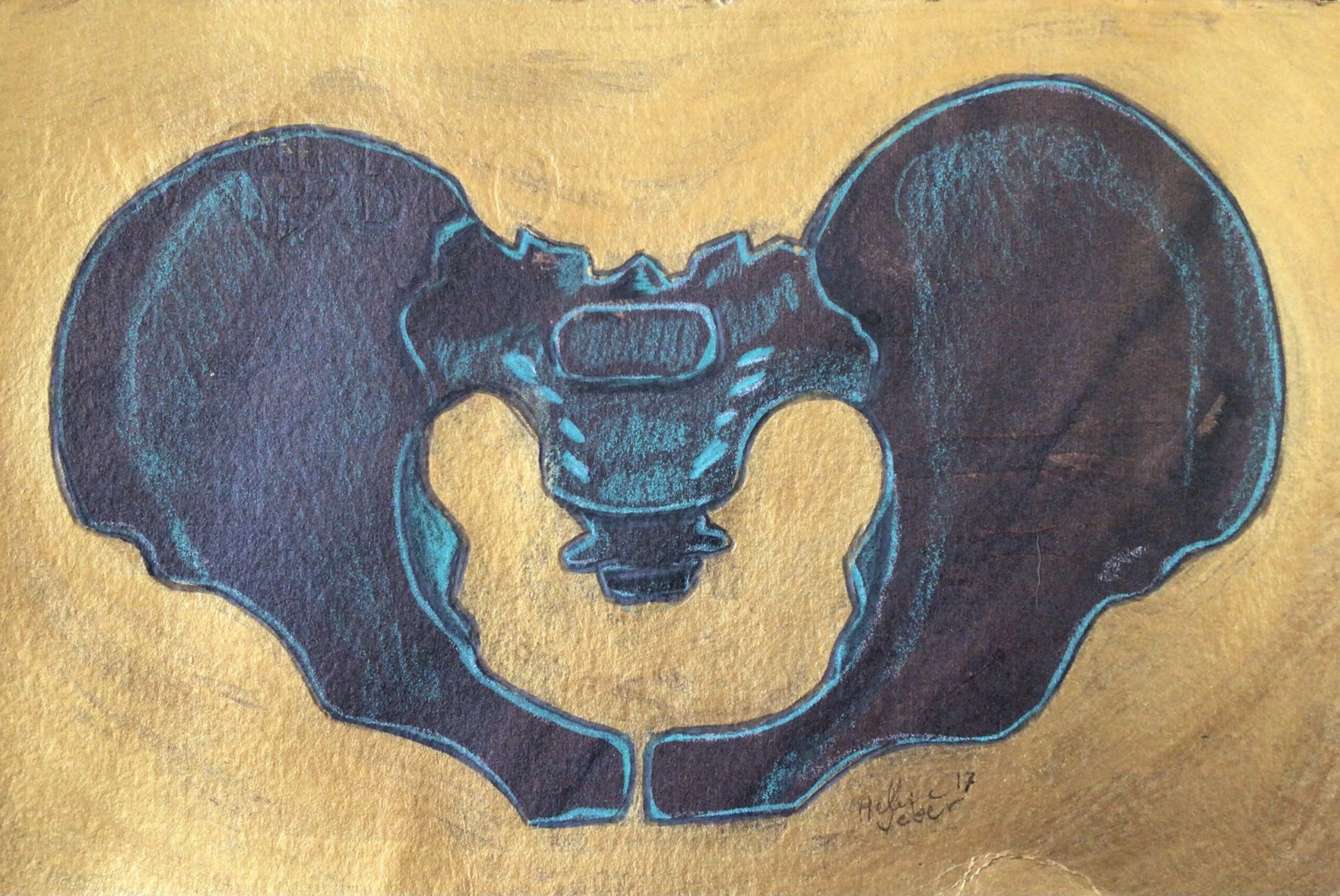 Cadera 2. Acrílico, lápiz y nogalina sobre papel. 19.5 x 13 cm. 2017