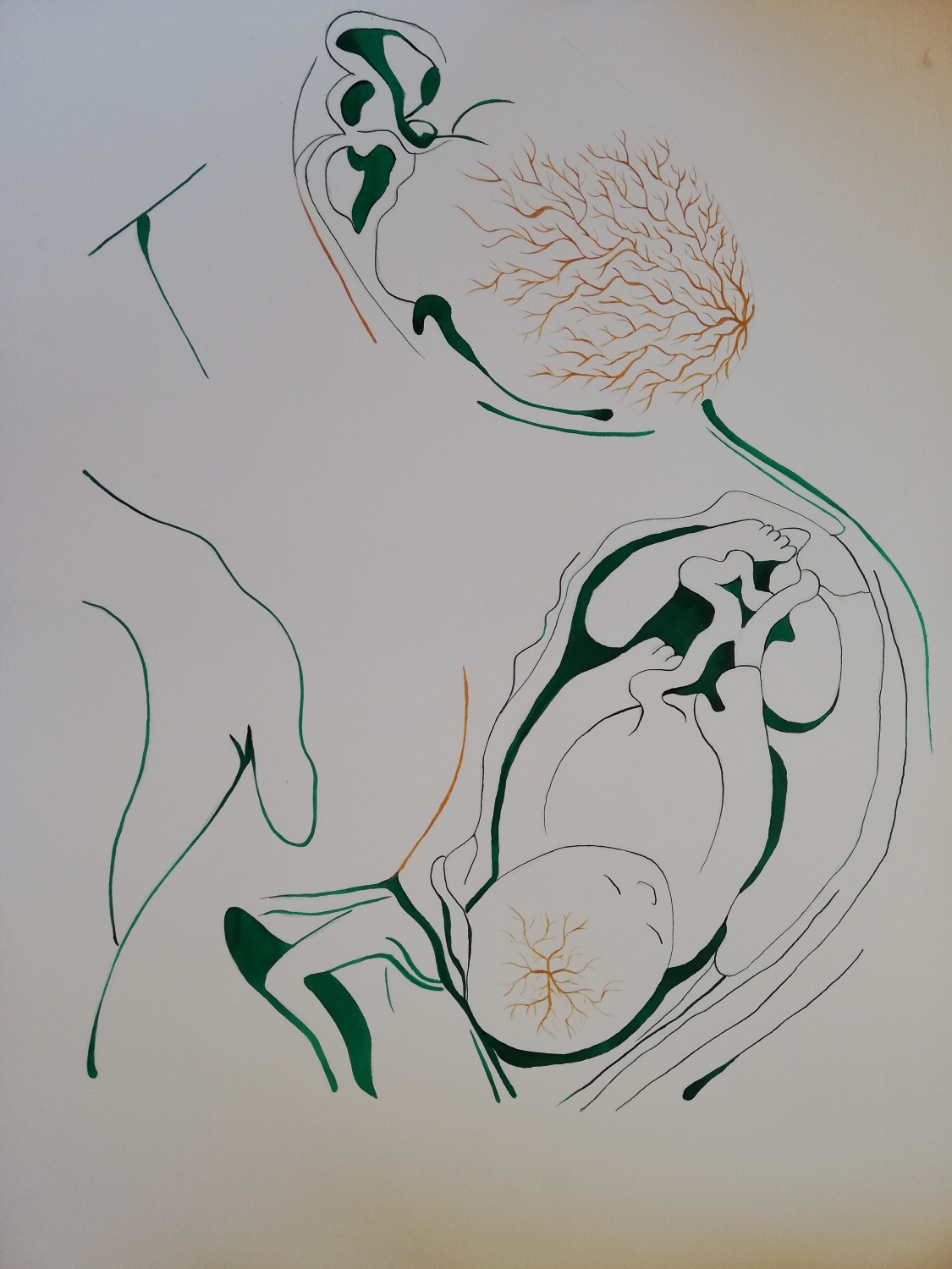 Embarazo dorado verde. Acrílico y tinta sobre papel. 70 x 100 cm. 2018