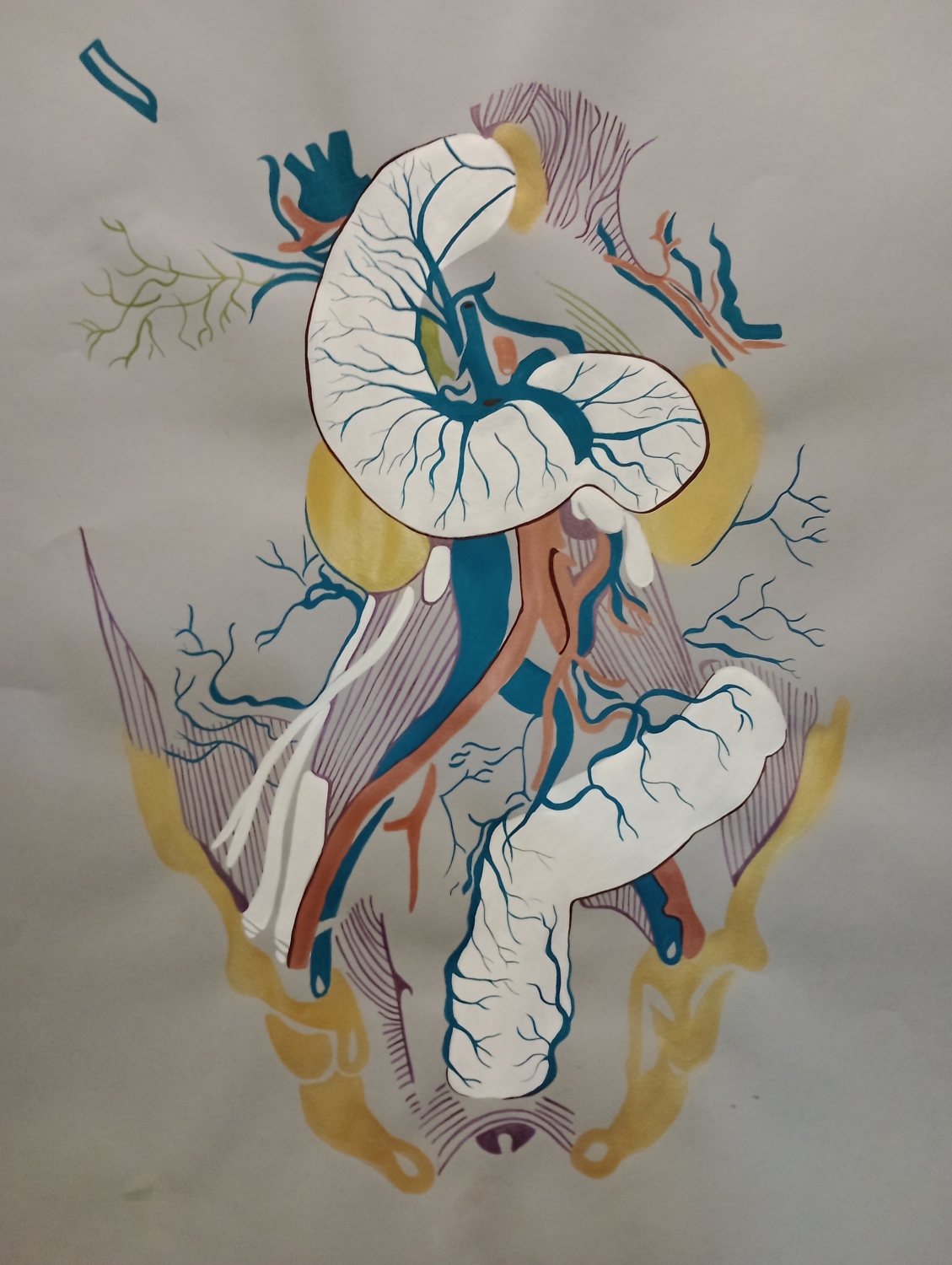 Intestino 5 colores. Acrílico sobre papel. 65 x 50 cm. 2021