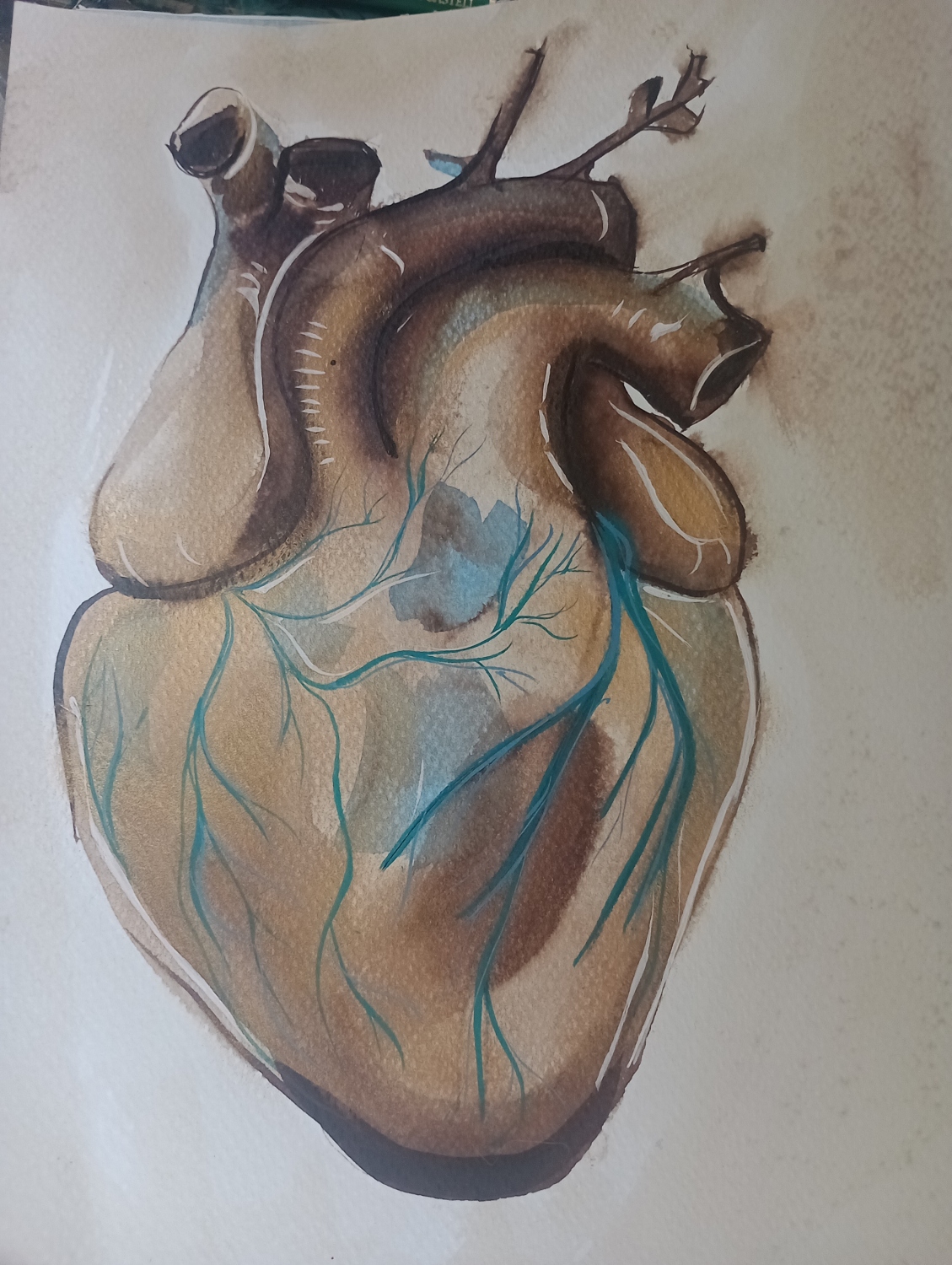 Corazon café . Acrilio y nogalina / papel. 21 x 29 cm. 2024