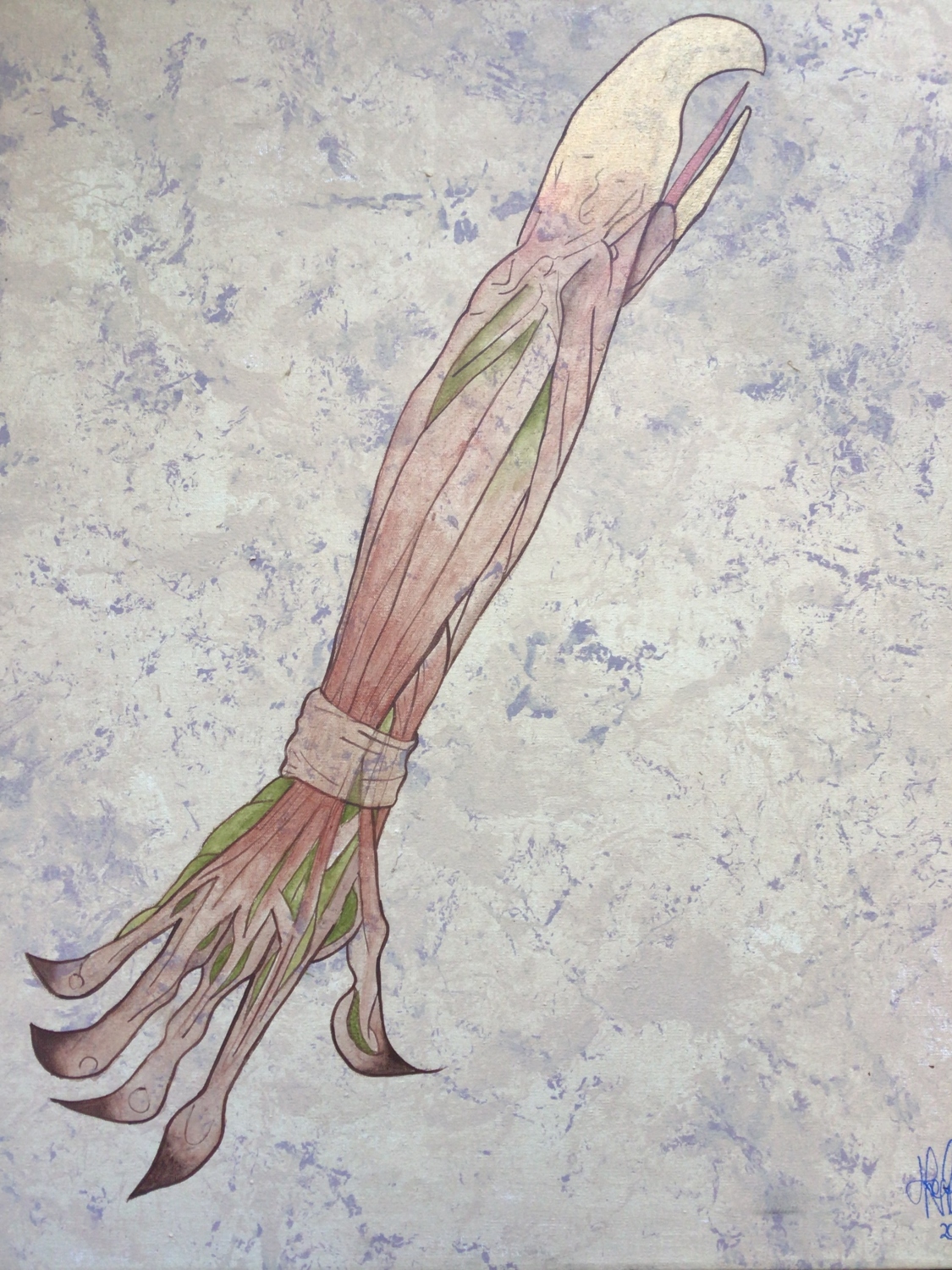 Brazo - Proyecto (Cuerpo poético de un códice). Acrílico sobre lienzo. 50 x 50 cm. 2025