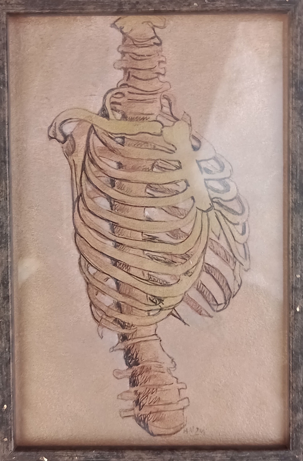 Esqueleto lapiz café. Lapiz y acrílico sobre papel. 15 x 22 cm. (Vendida) 2024