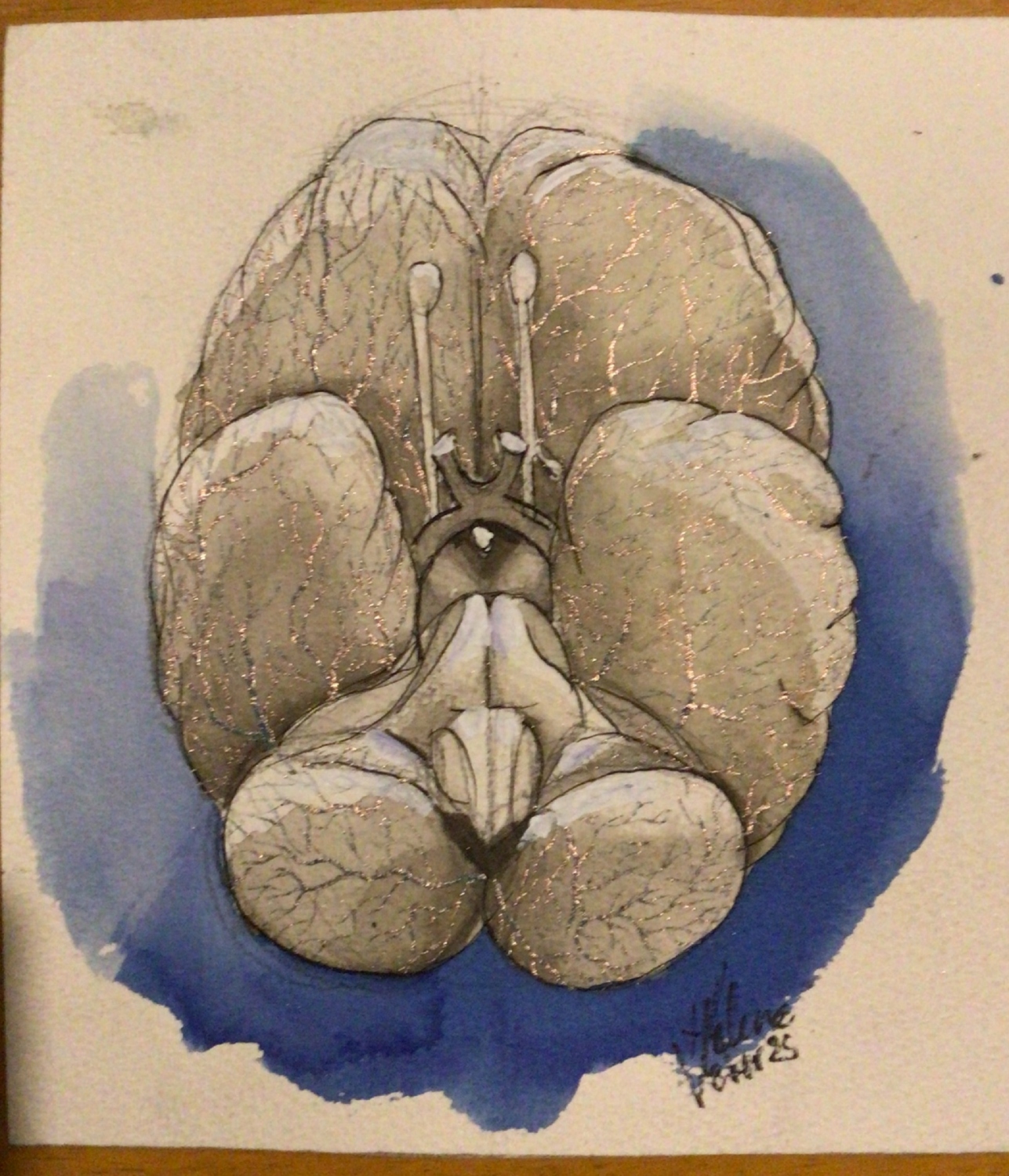 Cerebro. Acrílico sobre papel . 21x27 cm. 2025